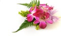 orchid corsage Royalty Free Stock Photo