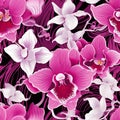 Orchid Enchantment Floral Beauty