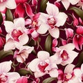 Orchid Enchantment Seamless Beauty