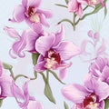 Orchid Enchantment Unveiled Seamless Beauty