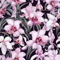 Orchid Enchantment Unveiled Seamless Beauty