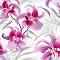 Orchid Enigma Unveiled Seamless Charm