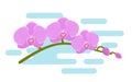 Orchid in flat design. Vector illustration. Background. Royalty Free Stock Photo