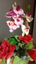 Orchid flower arrangement with beautiful flowers Royalty Free Stock Photo