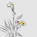 Orchid Flower Arrangement Line Drawing