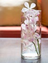 Orchid flower decorate in glass