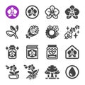 Orchid icon set