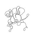 Orchid flower one line art. Continuous line drawing of plants, herb, flower, blossom, nature, flora, tropical flowers