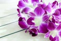 Orchid flower view background