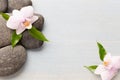 Orchid flower on wooden background with spa stones Royalty Free Stock Photo