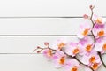 Orchid flower on the wooden pastel background. Spa and wellness scene Royalty Free Stock Photo