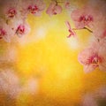 Orchid flowers background_3 Royalty Free Stock Photo