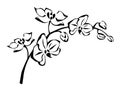 Orchid flowers branch. Vector black and white illustration.