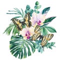 Orchid Flowers, eucalyptus, tropical leaves and butterfly. Watercolor floral illustration isolated white background