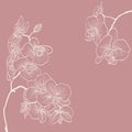 Orchid flowers illustration as frame background