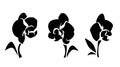 Orchid flowers isolated on white. Vector black and white illustration Royalty Free Stock Photo