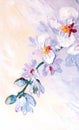 Orchid flowers. Oil painting picture