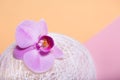 Orchid flowers are two-colored background on the paper.