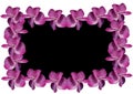 Orchid frame