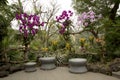 Orchid garden arrangment in Qingxiu mountain nanning Royalty Free Stock Photo