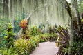 Orchid garden, part of Botanic Gardens in Singapore Royalty Free Stock Photo