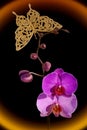 Orchid and gold butterfly