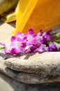 Orchid in hand image of buddh Royalty Free Stock Photo