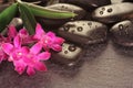 Orchid an hot stones on slate