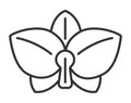 Orchid icon vector in outline style. Tropic flower is shown. Wedding, eco, floral logo