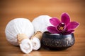 Orchid and massage compresses Royalty Free Stock Photo