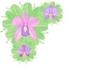 Orchid phalaenopsis watercolor illustration. Beautifull exotic flower in a full bloom with green buds Royalty Free Stock Photo