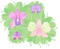 Orchid phalaenopsis watercolor illustration. Beautifull exotic flower in a full bloom with green buds Royalty Free Stock Photo