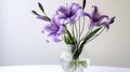 orchid purple flower arrangement Royalty Free Stock Photo