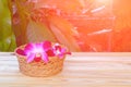Orchid purple flowers concept Spa still life in basket and sunset light tone Royalty Free Stock Photo