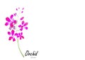 Orchid,purple orchid on white background,vector illustration