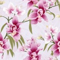 Orchid Radiance Floral Background Royalty Free Stock Photo