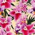 Orchid Radiance Floral Background Royalty Free Stock Photo