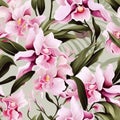 Orchid Radiance Floral Background Royalty Free Stock Photo