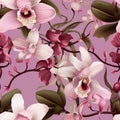 Orchid Radiance Floral Background Royalty Free Stock Photo