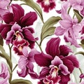 Orchid Radiance Floral Background Royalty Free Stock Photo