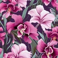 Orchid Radiance Floral Background Royalty Free Stock Photo