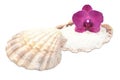 Orchid on a seashell with sea salt