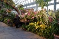 The 2016 Orchid Show 98