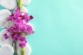 Orchid with spa stones on turquoise , flat lay. Space for text Royalty Free Stock Photo