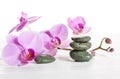 Orchid and spa stones on a white background. Beautiful pink flowers on a branch. Royalty Free Stock Photo