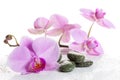 Orchid and spa stones on a white background. Beautiful pink flowers on a branch. Royalty Free Stock Photo