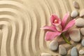 Orchid and stones on sand background top view. Zen concept Royalty Free Stock Photo