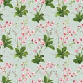 Orchid Tropical Leaves and Flowers Background. Seamless Pattern