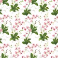 Orchid Tropical Leaves and Flowers Background. Seamless Pattern