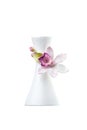 Orchid vase isolate Royalty Free Stock Photo